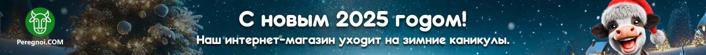 Новый год 2025