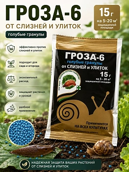 Гроза-6